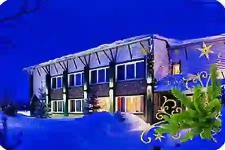Новый год 2026 в VE art resort
