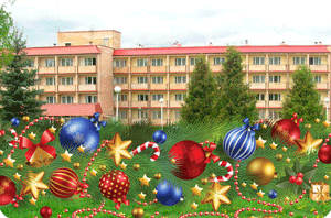 новый год в санатории волна